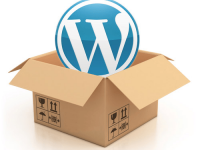 Customization WordPress before installation