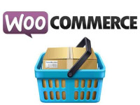 Block the Delivery by city in WooCommerce.
