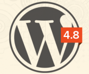 What’s New in WordPress 4.8