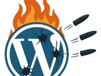 My Plugins on WordPress Repo Were Closed During the War